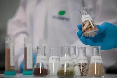 Imagem card com fundo